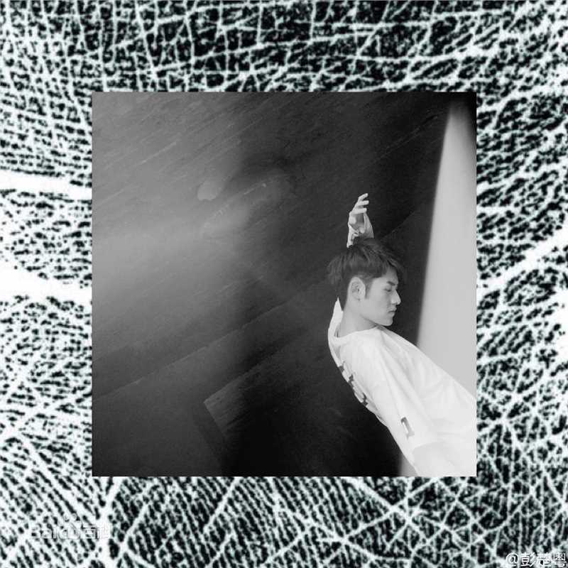 彭楚粤生活摄影记事壁纸壁纸