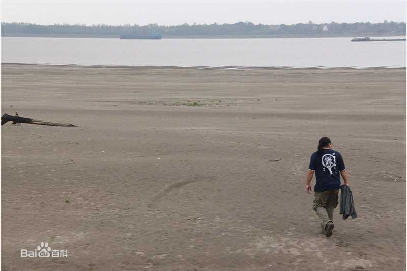 杨超工作照性感图片壁纸