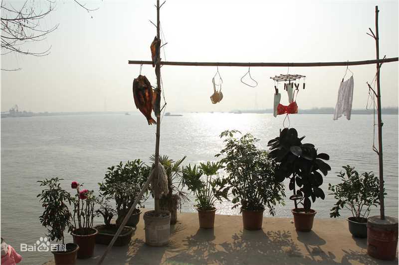 杨超作品高清剧照