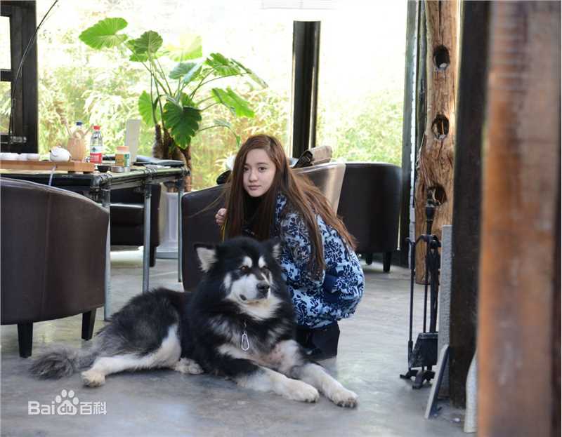 艾如高清和生活照图集