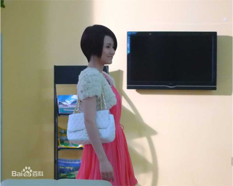 艾如高清电视剧剧照和图集