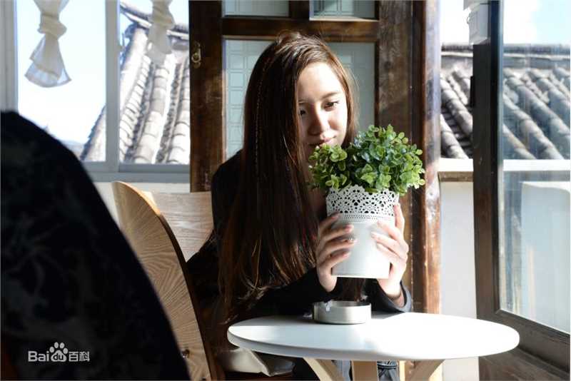 艾如高清电视剧剧照和图集