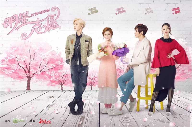 王瑞子电视剧《明星志愿》剧照