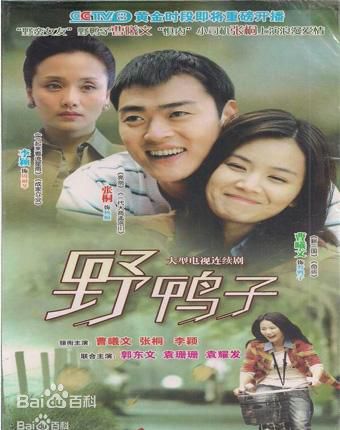 张桐 野鸭子壁纸壁纸