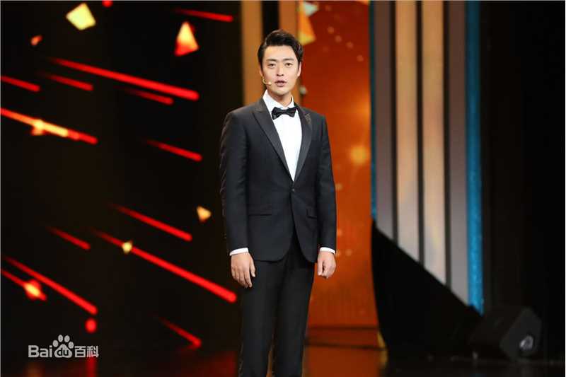 最优质张桐在《欢乐中国人2》中的相册