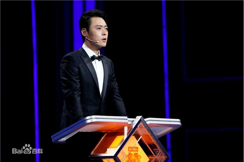 最优质张桐在《欢乐中国人2》中的相册