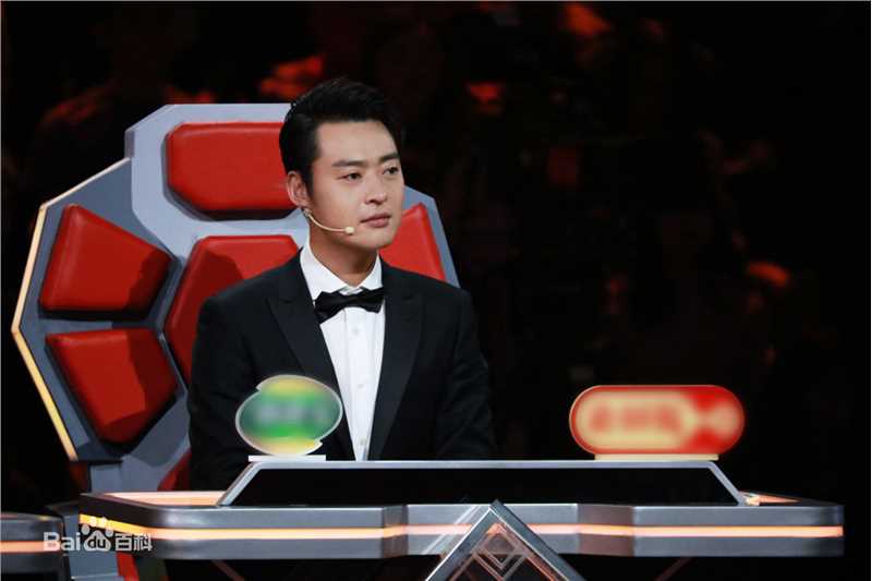 最优质张桐在《欢乐中国人2》中的相册