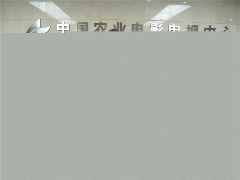 精选张桐在2009年《红槐花》首映礼中的图册