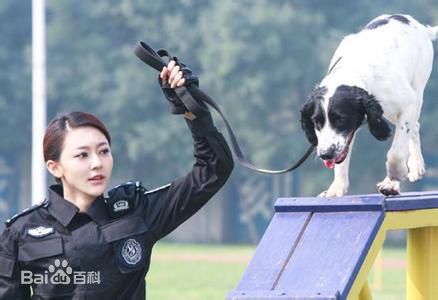 黄梦莹(Maggie Huang)警花与警犬倪娜精选剧照