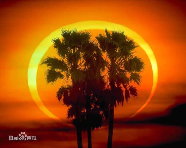 郭宏庆高清剧照