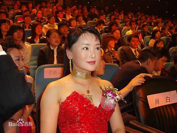 杨欣精选演艺事迹图册