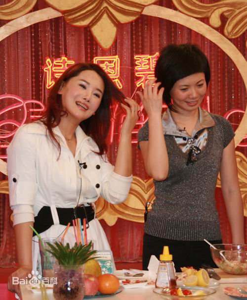 杨欣精选演艺事迹图册