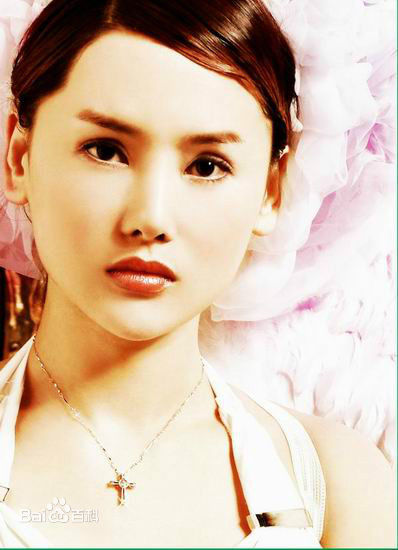 杨欣精选人物艺术图册