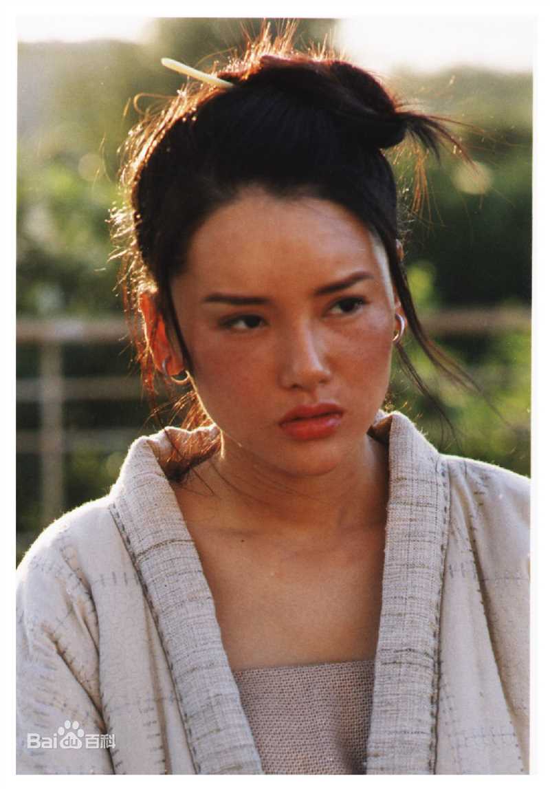 杨欣关中刀客图片图集