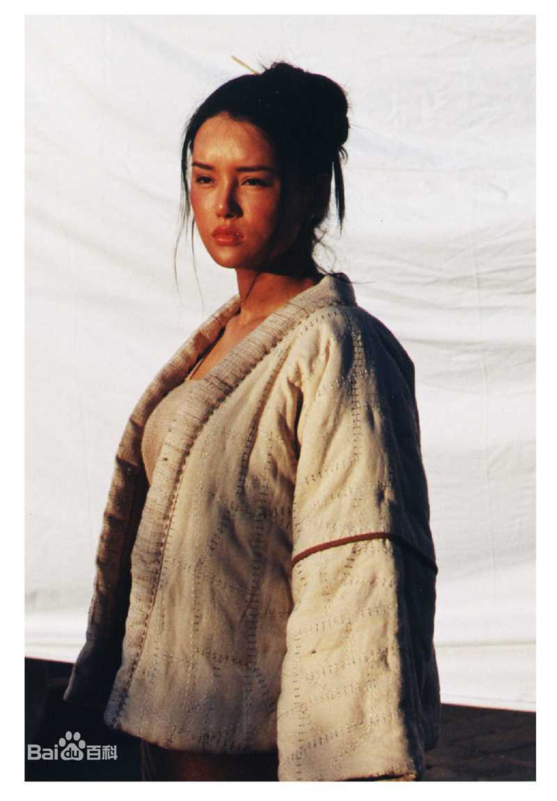 杨欣关中刀客图片图集