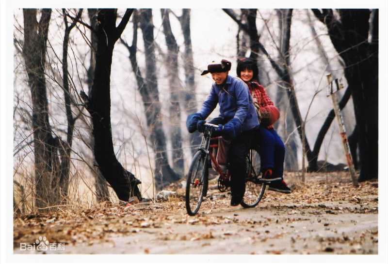 杨欣手机壁纸壁纸