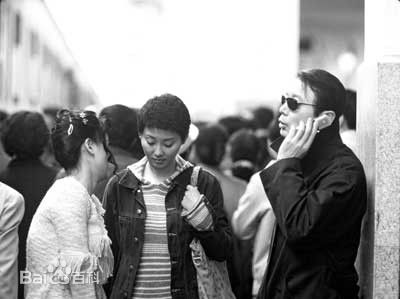 杨欣手机壁纸壁纸