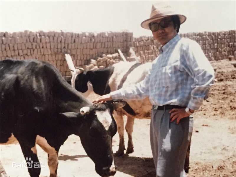 杨洪涛图册生活照