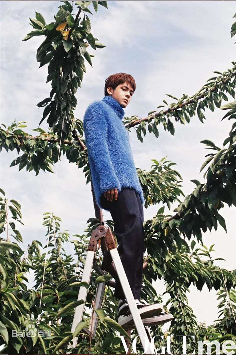 曾舜晞(Joseph)VogueMe图片图册