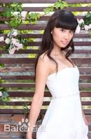 最新杨亚星壁纸