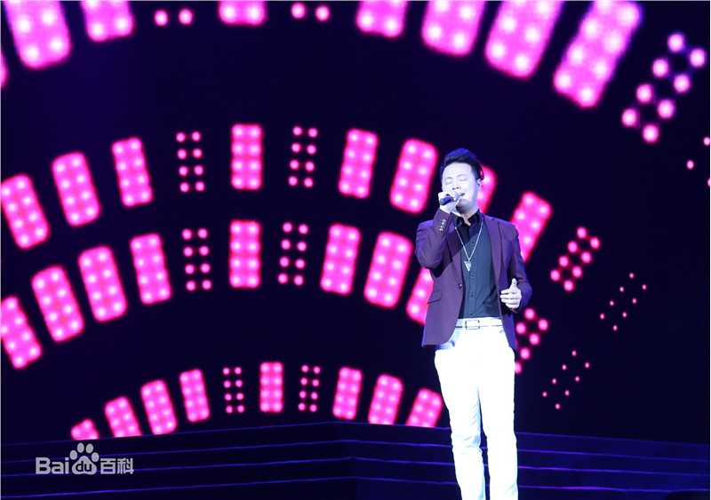 刘彪(无)现场演出照片壁纸壁纸