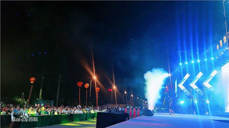 刘彪(无)现场演出照片壁纸壁纸