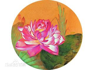 精选李桂平(liguiping)