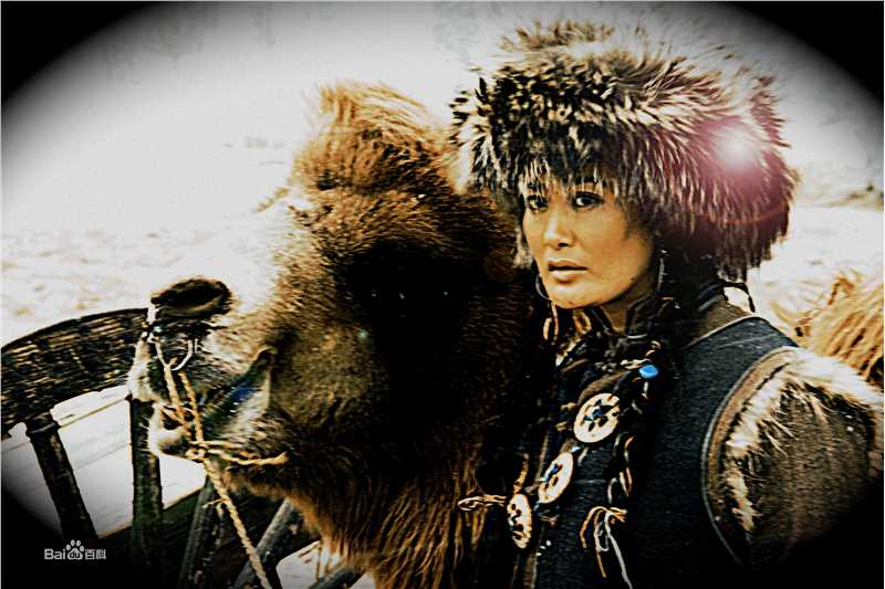 诺明骅日诺明花日图片图集