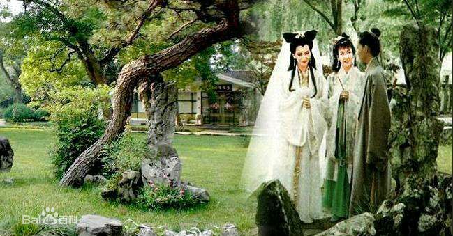 高清夏祖辉图片