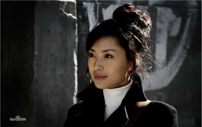 王岚影视最全剧照