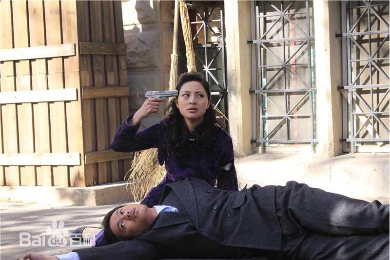 王岚影视最全剧照