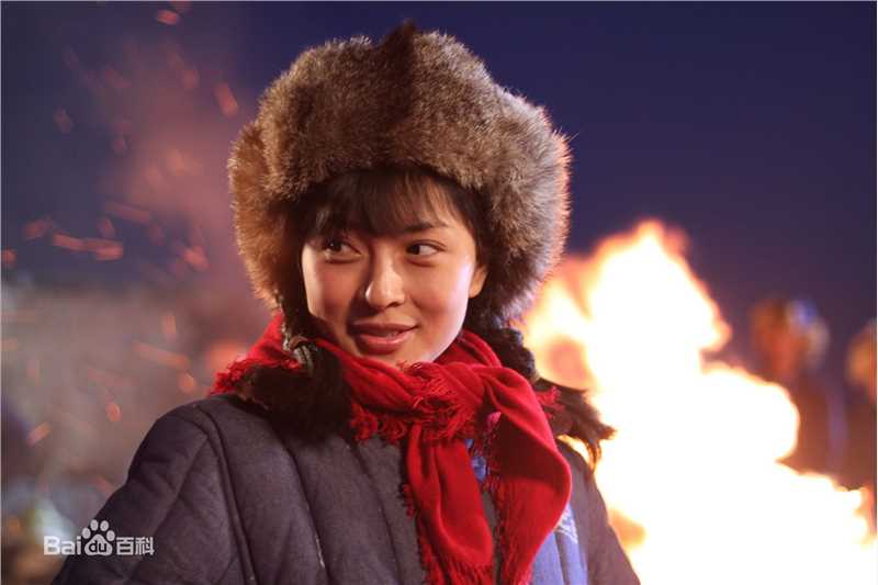 王岚影视最全剧照