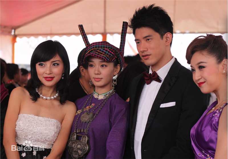 王岚影视最全剧照