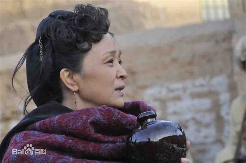 何涛电视剧《风雨沙坡头》最全剧照