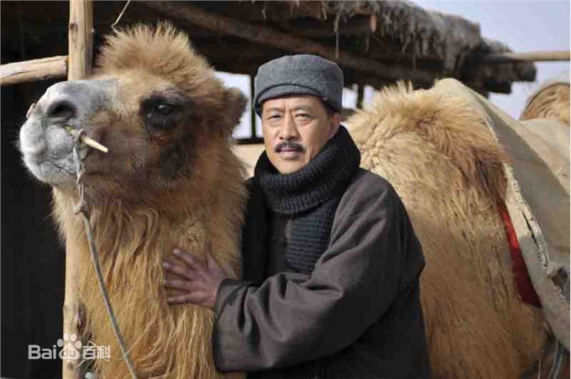何涛电视剧《风雨沙坡头》最全剧照