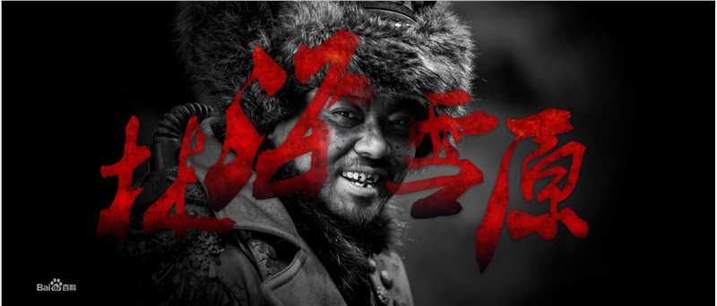 金钊影视精选剧照