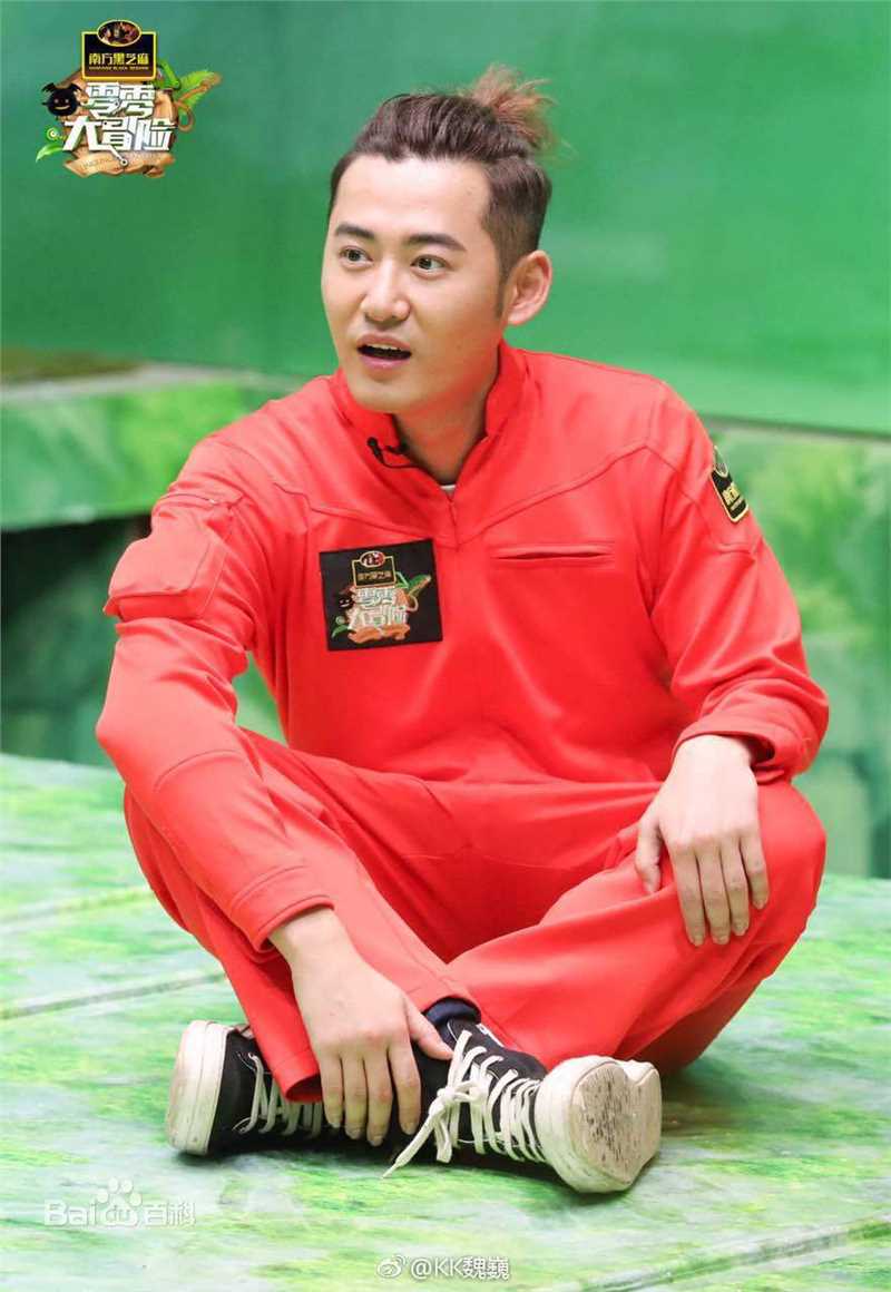 魏巍最优质剧照