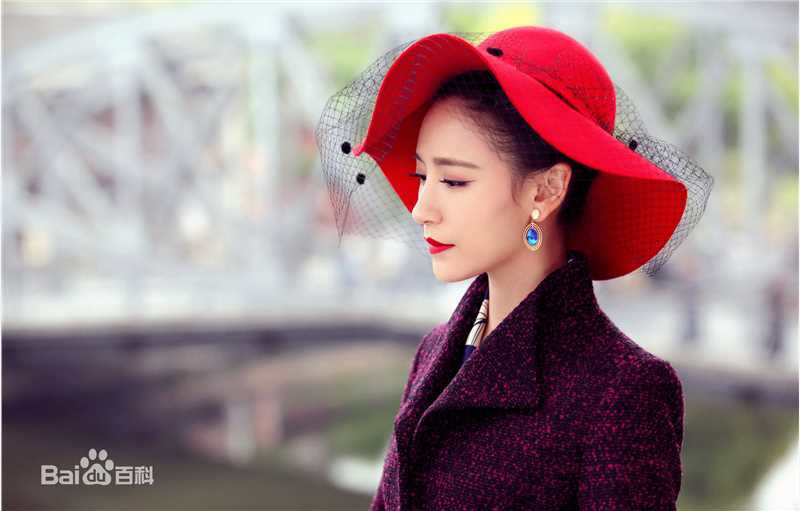 最优质谢闻轩在电视剧《新猛龙过江》中的