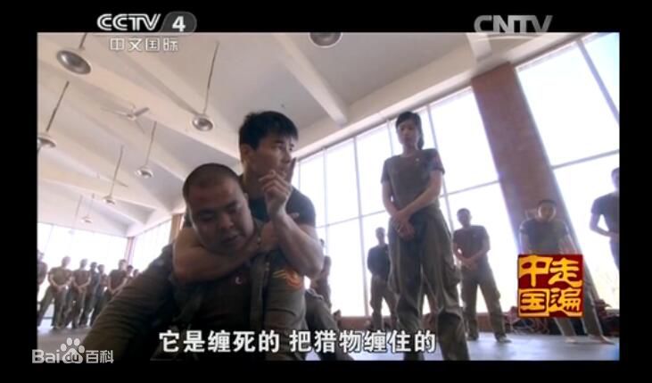 黄超(HuangChao)培训保镖MMA在实战中运用图片图册