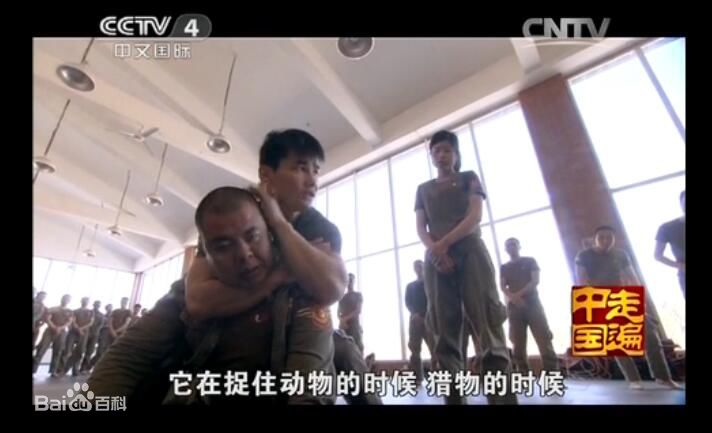 黄超(HuangChao)培训保镖MMA在实战中运用图片图册