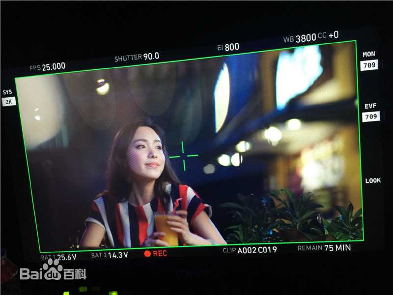 阳蕾(Crystal)剧照