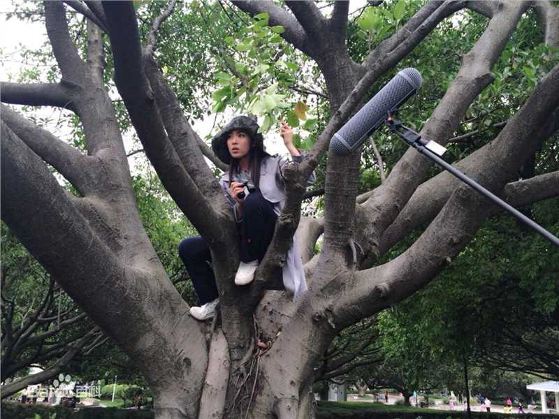 阳蕾(Crystal)剧照