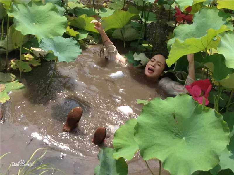 阳蕾(Crystal)剧照