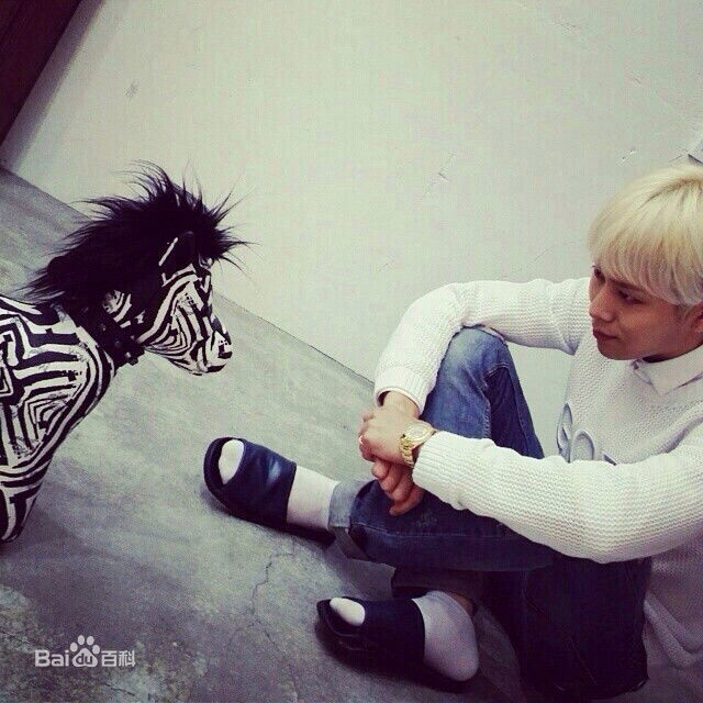 龙俊亨(，Yong Jun Hyung)的Ins图册