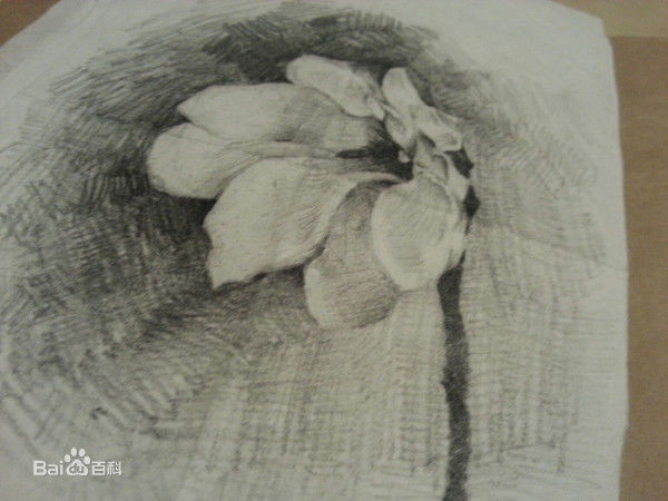 朴基雄(，Park Ki Woong，パク ギウン)个人美术作品相关照片生活照相册