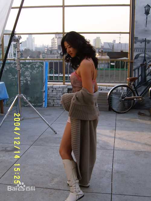 精选宋善美()精彩图册