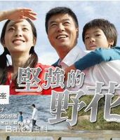 最新李雅贤()壁纸