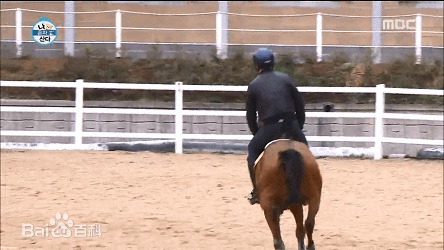 精选李泰坤( Lee Tae Gon)在《我独自生活》动图册中的图册