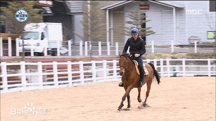 精选李泰坤( Lee Tae Gon)在《我独自生活》动图册中的图册