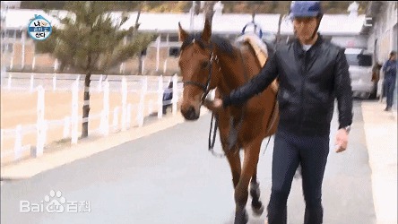 精选李泰坤( Lee Tae Gon)在《我独自生活》动图册中的图册